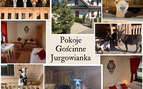 Pokoje Gościnne Jurgowianka